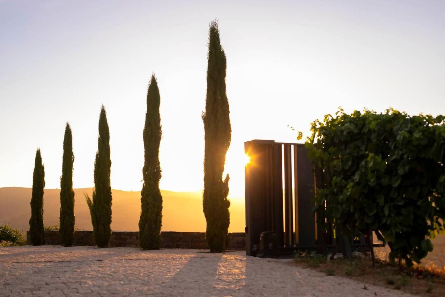 フォルゴザ Quinta Vale De Lobos Bed & Breakfast エクステリア 写真