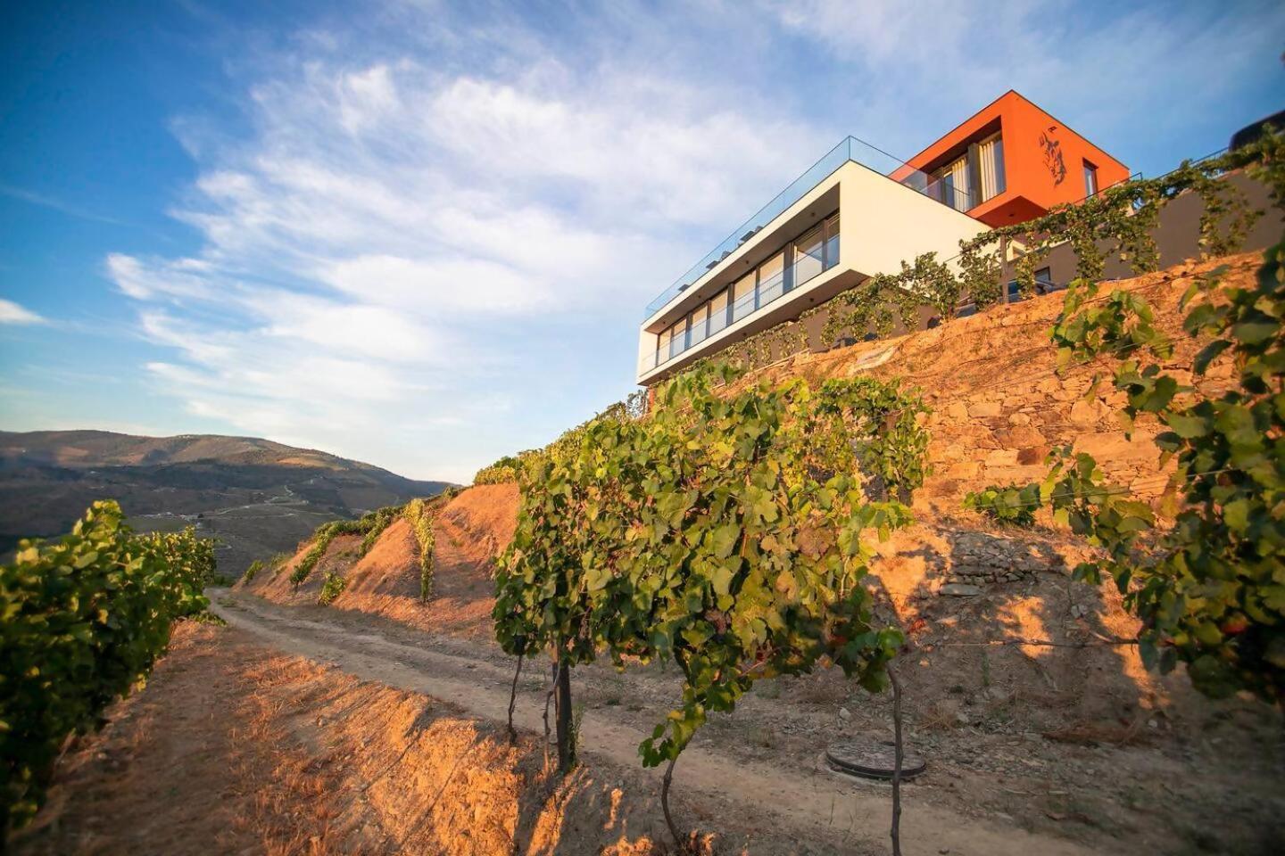フォルゴザ Quinta Vale De Lobos Bed & Breakfast エクステリア 写真